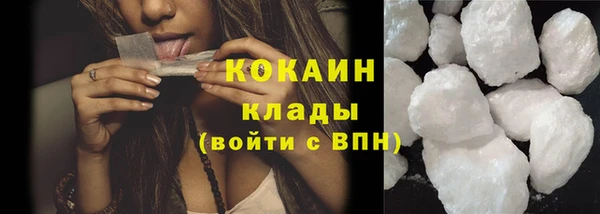 соль ск Алексин