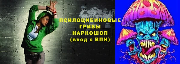 соль ск Алексин