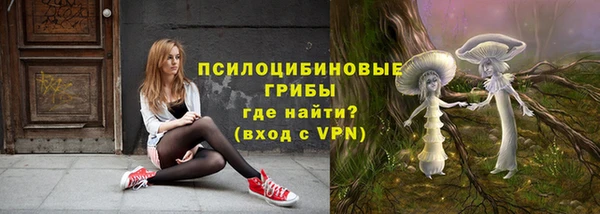 соль ск Алексин