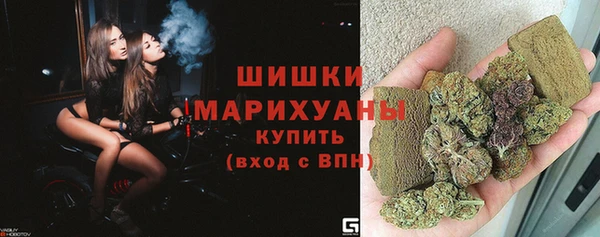прущие грибы Хадыженск