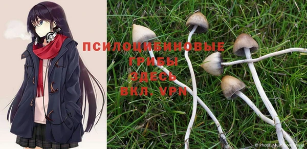 PSILOCYBIN Алексеевка